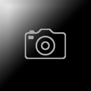 Compression Piston Plate